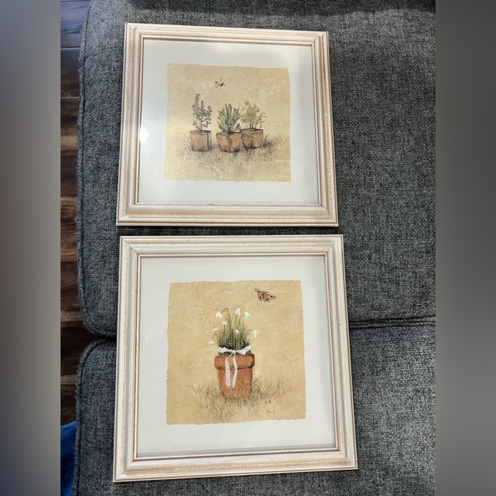 Framed Botanical Art Prints